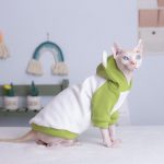 Sphynx Cat Clothes Hoodie | Kitten Sweatshirt, Cat Cartoon Bear Hoodie