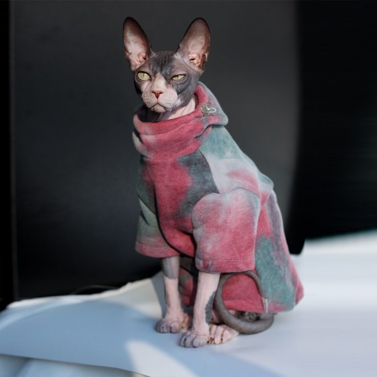 Amazed Cat Tie-Dye Hoodie