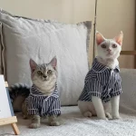 Black&white Striped Cat Pajamas