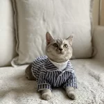 Black&white Striped Cat Pajamas