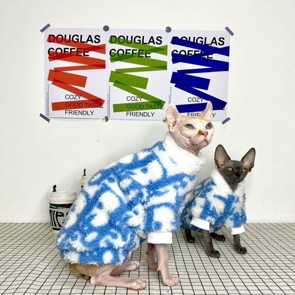 Vestiti invernali per gatti: due gatti indossano cappotti Dior