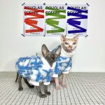 Vêtements d'hiver pour chats - Deux chats portent des manteaux Dior