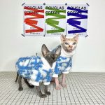 Winter Clothes for Cat-Two cats wear Dior coats