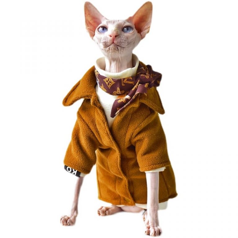 Gucci Cat Clothes Luxury Gucci Coat for Sphynx Hairless Cat