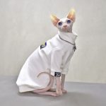 Vestiti per gatti Gucci | Cappotto Gucci di lusso per gatti Sphynx senza pelo?