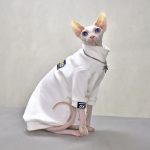 Gucci clothes for cats outlet