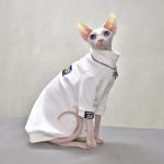 Gucci Cat Clothes | Luxury Gucci Coat for Sphynx Hairless Cat ?