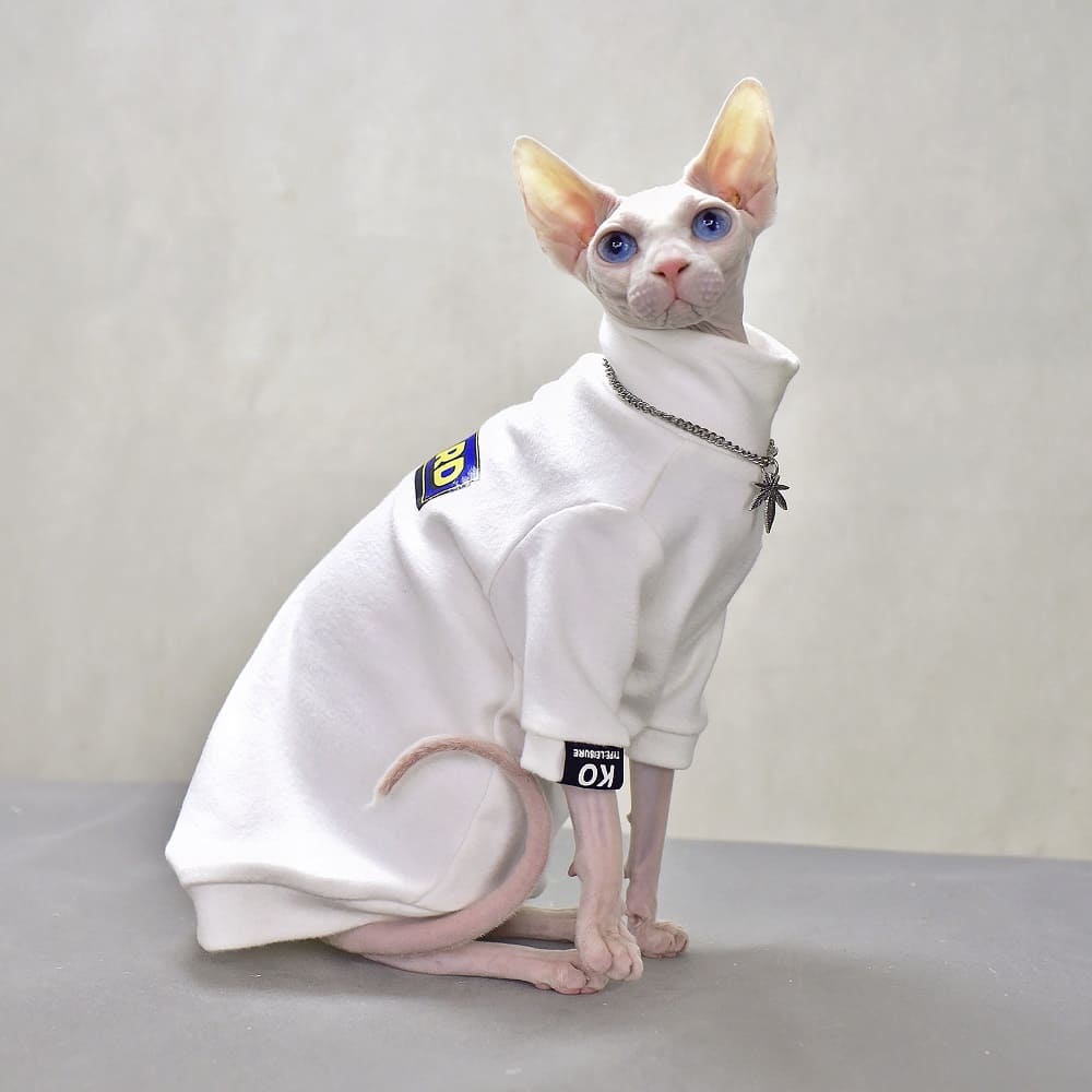 lammelse vest skør Cat Wearing Winter Clothes | Cozy Coat for Sphynx, Gucci Sphynx Coat