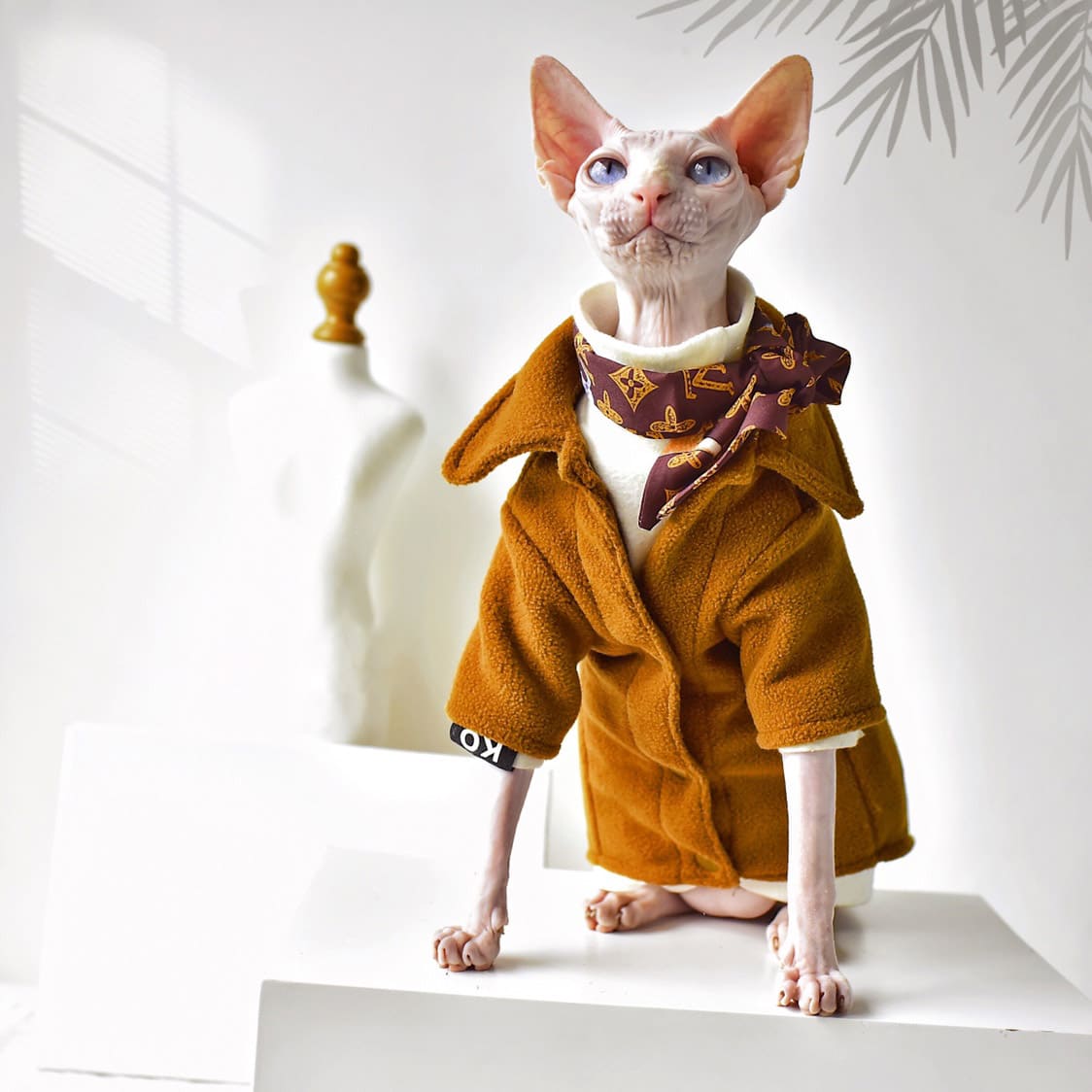 Hairless Cat Models Designer Clothes 