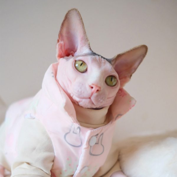 Cat Clothes for Winter Sphynx Cat Winter Coat, Cat Winter Vest