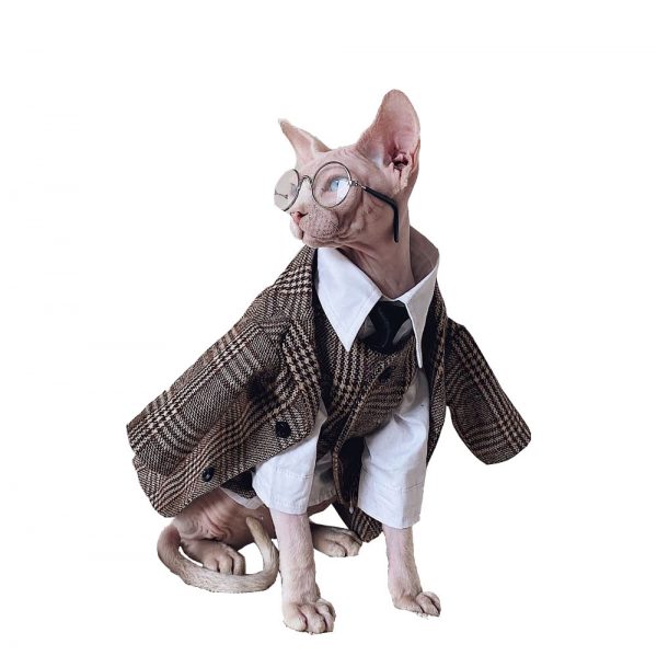 Suit for Cat | Hairless Cat in Blazer, Luxurious British Blazer for Sphynx