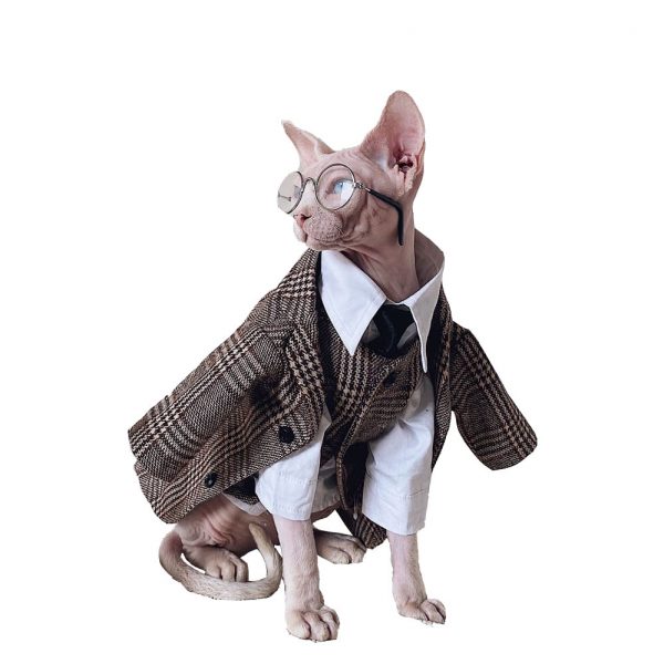 Anzug für Katze | Haarlose Katze im Blazer, Luxuriöser britischer Blazer für Sphynx