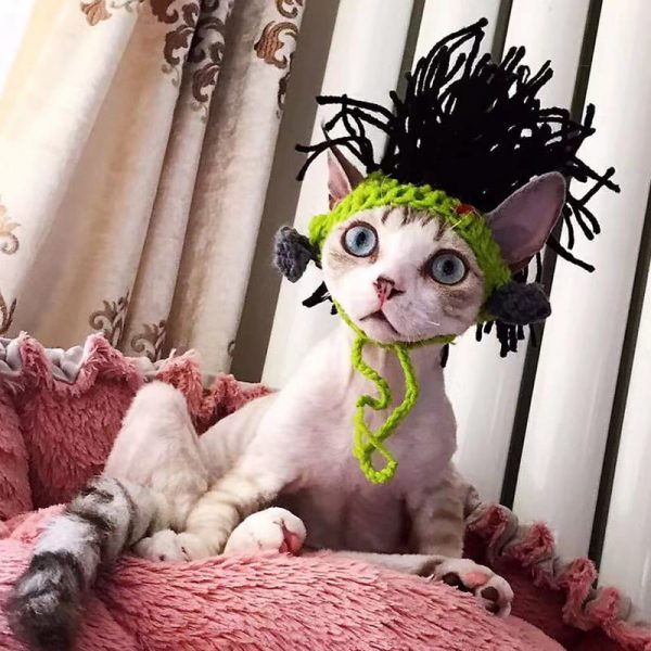 Gato em chapéu engraçado Punk Chi Hat for Cat, chapéu de gato, acessório de gato