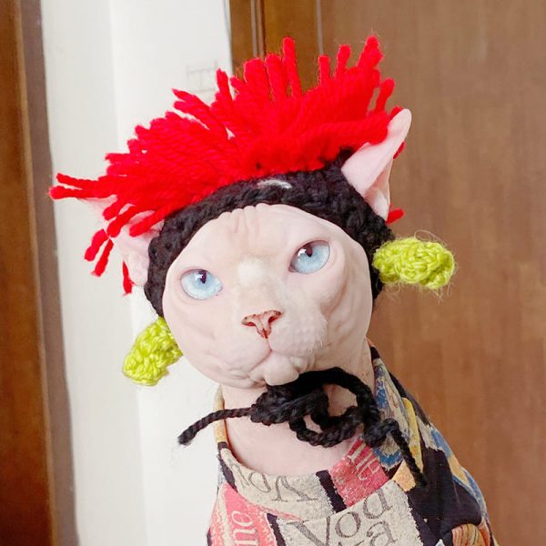 Cat in Funny Hat Punk Chi Hat for Cat, Cat Wearing Hat, Cat Accessory