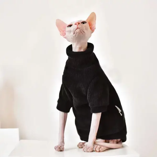 Cats with Sweaters-Cat wears sweater