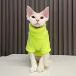 Cats Sweaters-Solid Color Turtleneck Sweater-fluorescent green