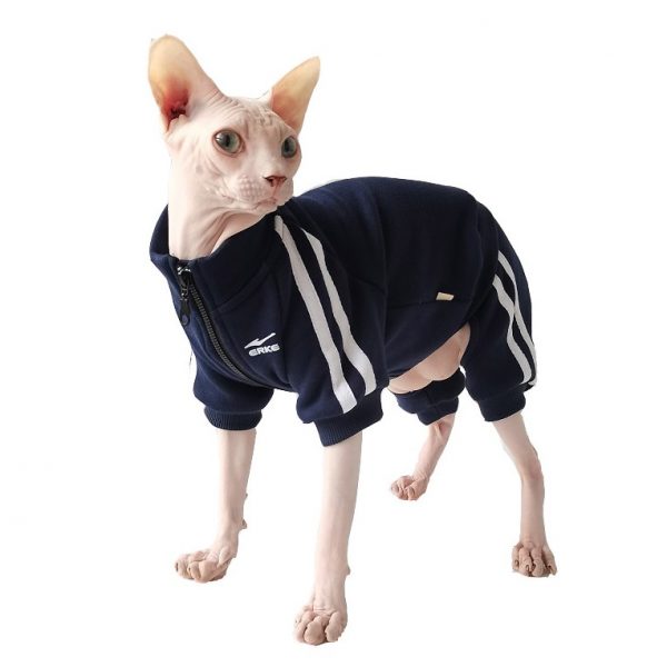 ジャケットを着る猫-スフィンクスは紺色のジャケットを着る