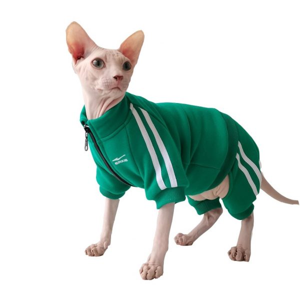 ジャケットを着る猫-スフィンクスは緑のジャケットを着る
