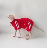 Chats portant des vestes-Sphynx portant une veste rouge