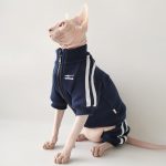 Gatos con chaqueta-Sphynx con chaqueta azul marino