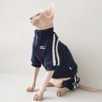 Gatti che indossano giacche-Sphynx indossa una giacca blu navy
