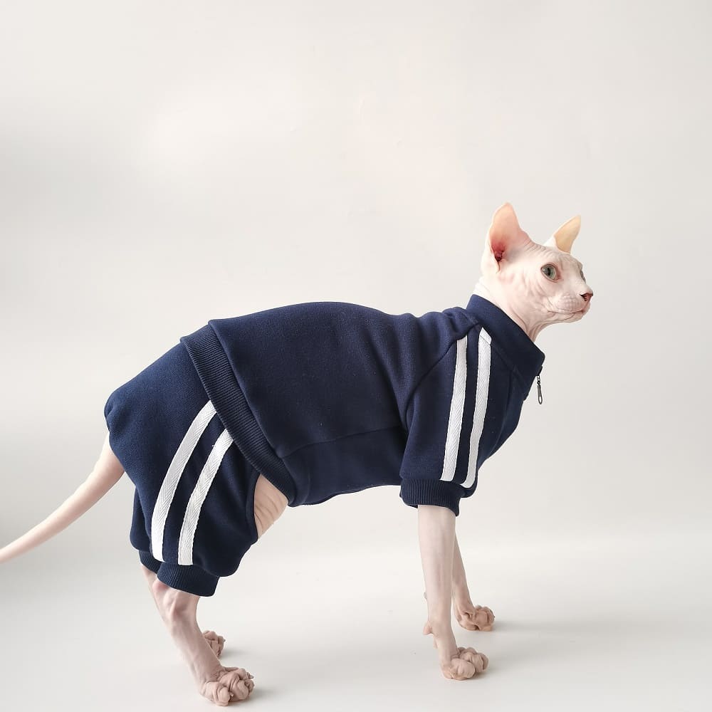 Cats Wearing Jackets-Sphynx wear navy blue jacket