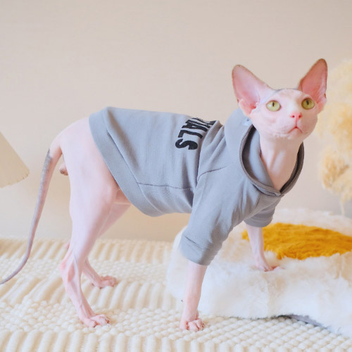 Cats wearing Hoodies | Kitten Sweatshirt, Cat Hoodies for Cats
