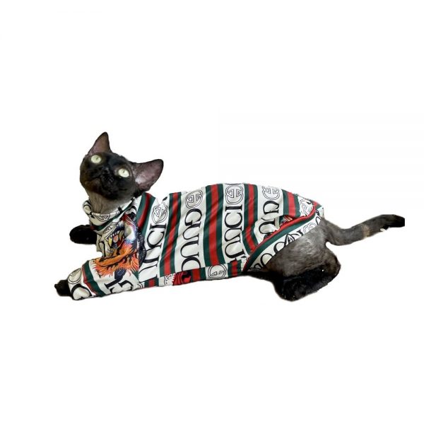 Рубашка для кошек породы сфинкс - кошка носит рубашку из гусиной кожи
