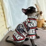 Camicia del gatto Sphynx - Il gatto indossa la camicia guuci