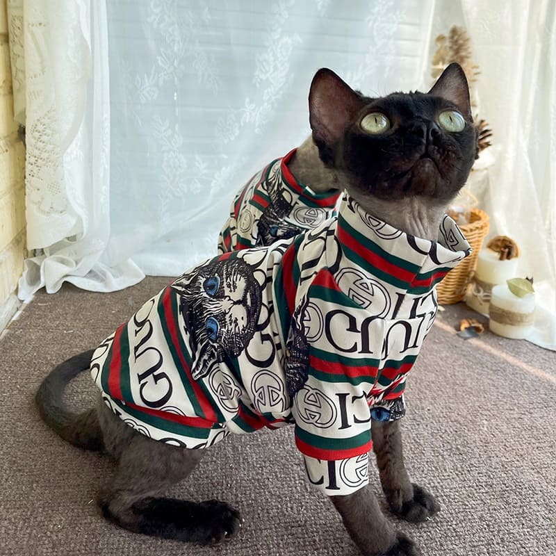 Camicia del gatto Sphynx - Il gatto indossa la camicia guuci