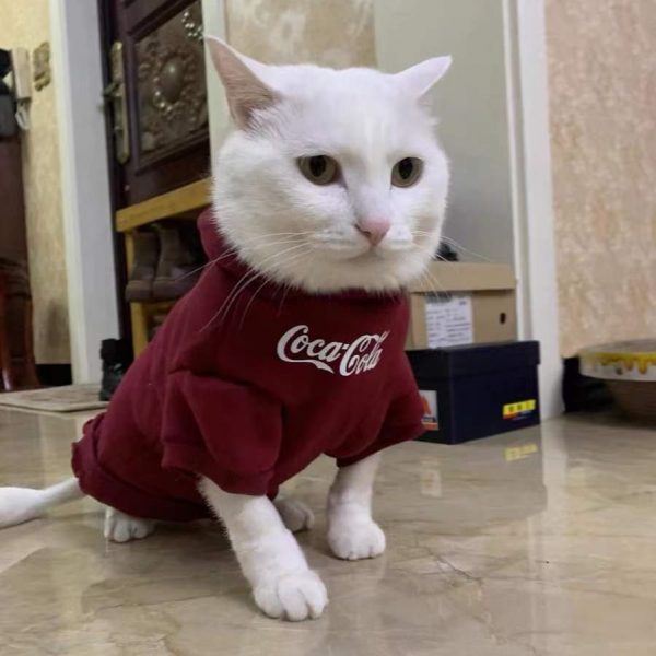 Kitten Hoodie-Chinese Pastoral Cat wears the hoodie