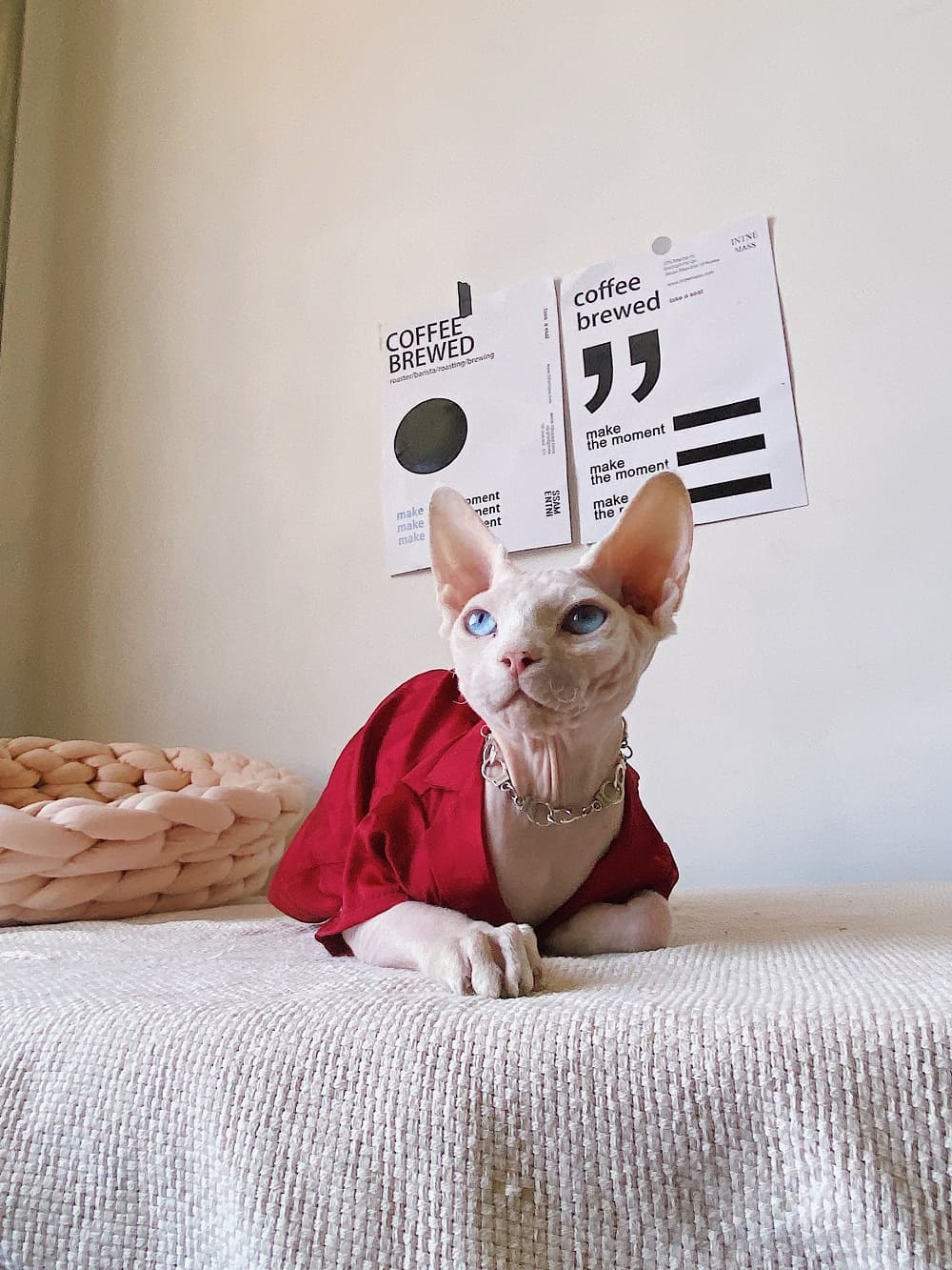 Kätzchen Schlafanzug für Katzen-Rot ein