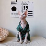 Kätzchen Schlafanzug für Katzen - grüner Schlafanzug
