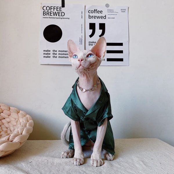 Pijama de gatito para gatos-Verde uno