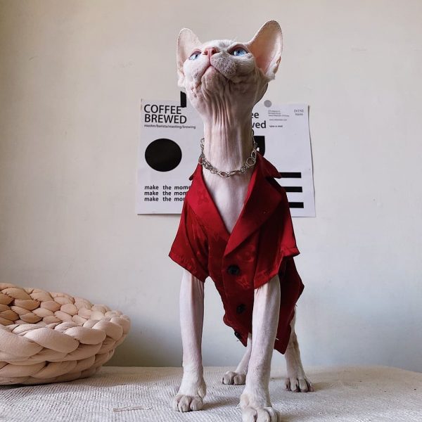 Пижама для котят - красный один