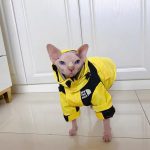 Куртка с кошачьим лицом - желтая