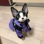 Куртка "Кошачье лицо"| фиолетовая