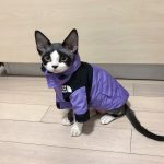 The Cat Face Jacket | Purple