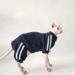 Sports Jacket for Sphynx - Navy - Two legged