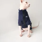 Sports Jacket for Sphynx - Navy - Two legged