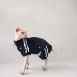 Sports Jacket for Sphynx - Navy - Two legged