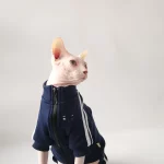 Sports Jacket for Sphynx - Navy - Two legged