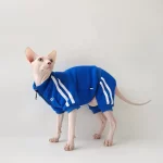 Sports Jacket for Sphynx - Blue - Four legged