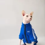 Sports Jacket for Sphynx - Blue - Four legged