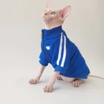 Sports Jacket for Sphynx - Blue - Two legged