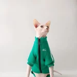 Sports Jacket for Sphynx - Green - Four legged