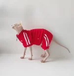 Sports Jacket for Sphynx - Red - Four legged