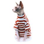 Striped Color T-shirt for Sphynx - Red Shirt