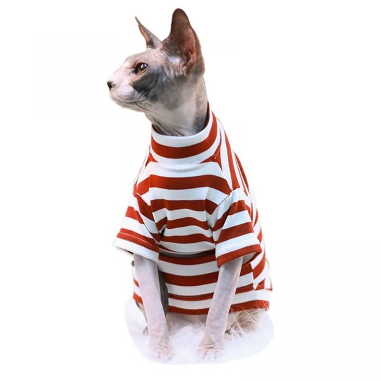 Striped Color Tshirt for Sphynx Cat Shirt for Cats, Sphynx Cat Shirt