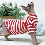 Striped Color T-shirt for Sphynx - Red Shirt